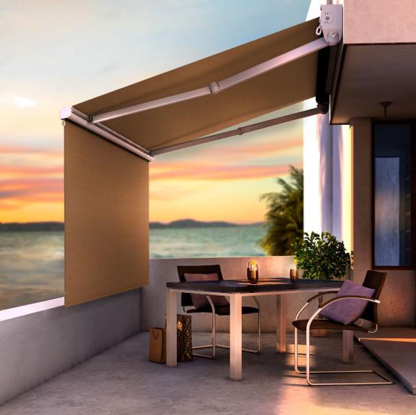 Articulated Arm Awning